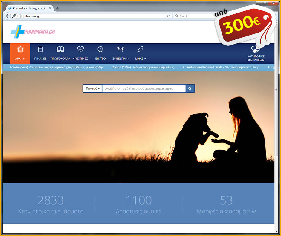 Κατασκευή Web εφαρμογών με χρήση τεχνολογιών αιχμής όπως η πλατφόρμα ASP.NET και τα jQuery, KnockoutJS, Bootstrap.